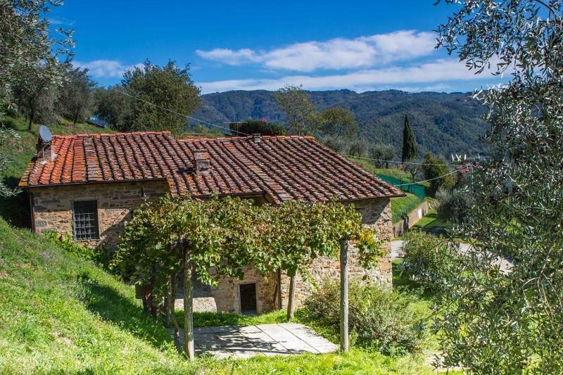 Fattoria Di Pietrabuona Apartamento Pescia Exterior foto